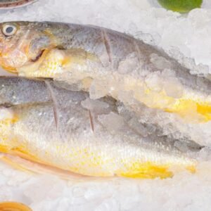 Sea bream fillets