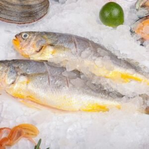 Frozen Grey mullet portions