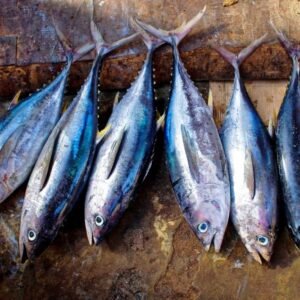 Sea bass fillets